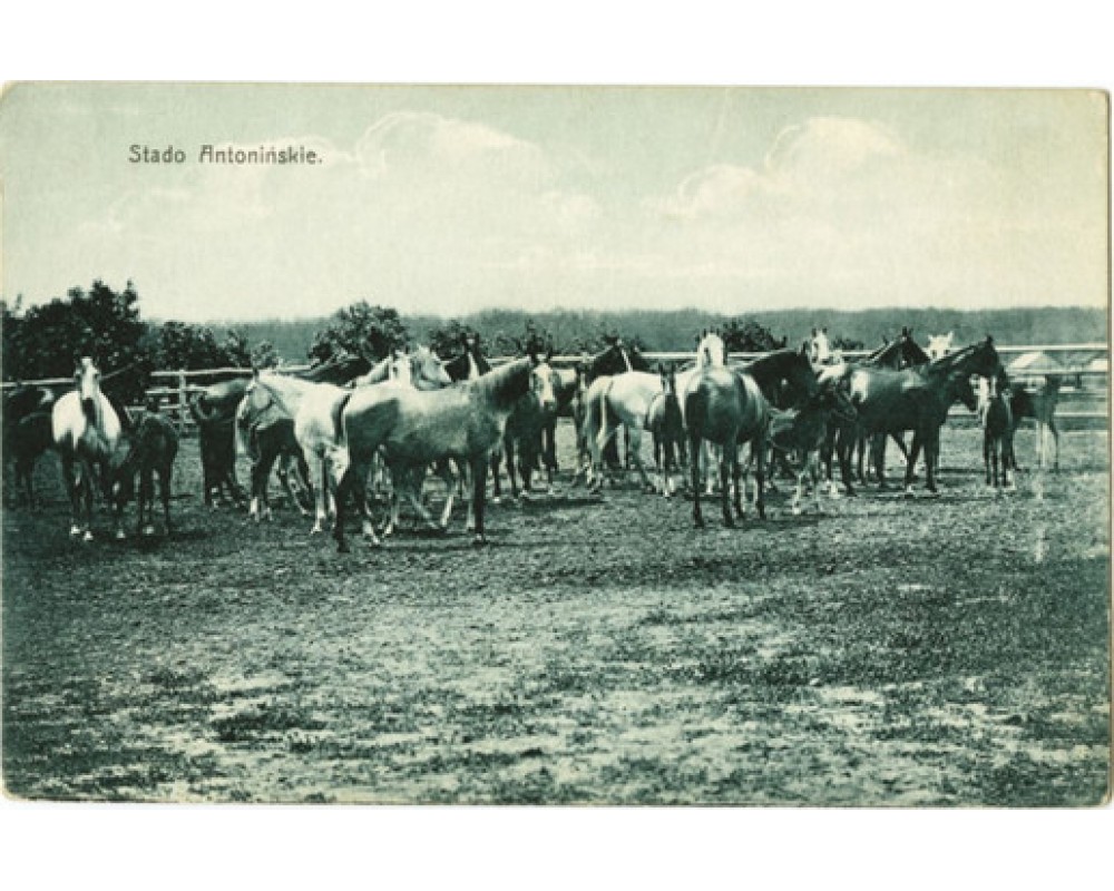 Осень 1909 года.